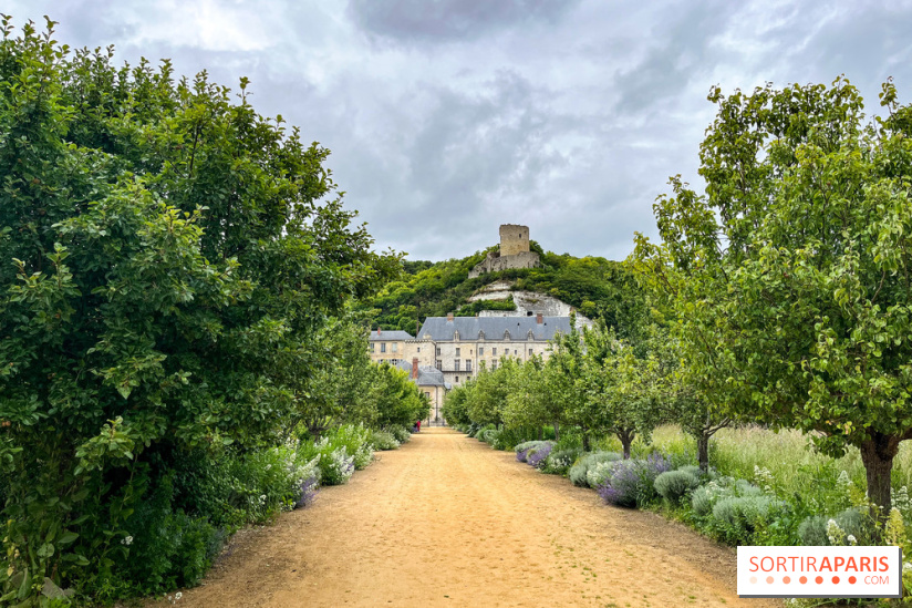 Potager-Fruitier de la Roche Guyon - nos photos - image00024
