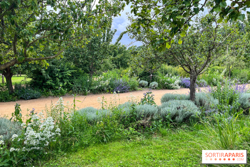 Potager-Fruitier de la Roche Guyon - nos photos - image00026