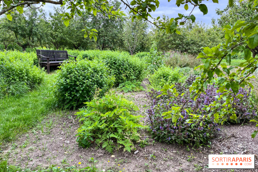 Potager-Fruitier de la Roche Guyon - nos photos - image00017
