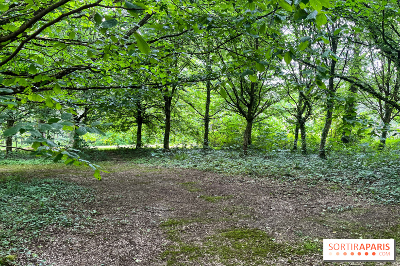 Arboretum de la Roche-Guyon - nos photos - image00013
