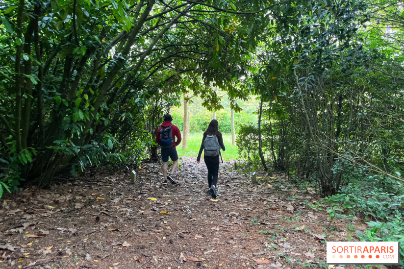 Arboretum de la Roche-Guyon - nos photos - image00014
