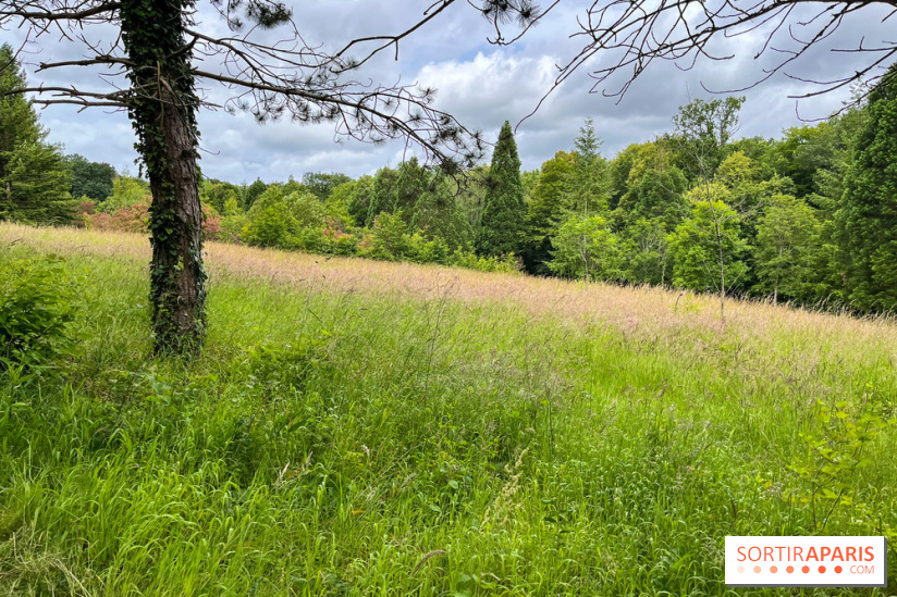 Arboretum de la Roche-Guyon - nos photos
