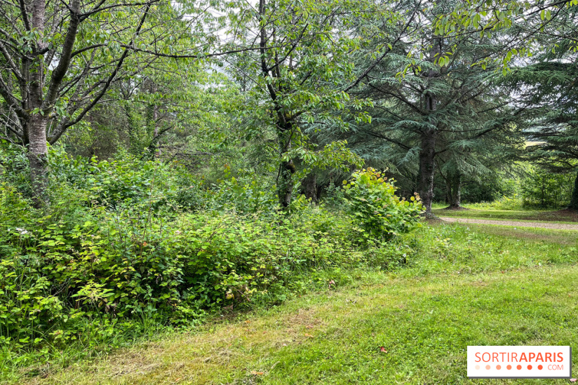 Arboretum de la Roche-Guyon - nos photos - image00011