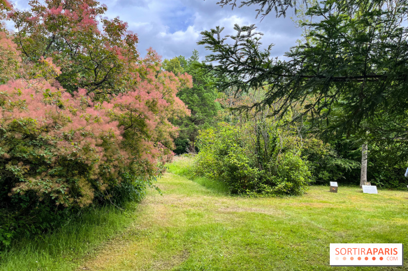 Arboretum de la Roche-Guyon - nos photos - image00007
