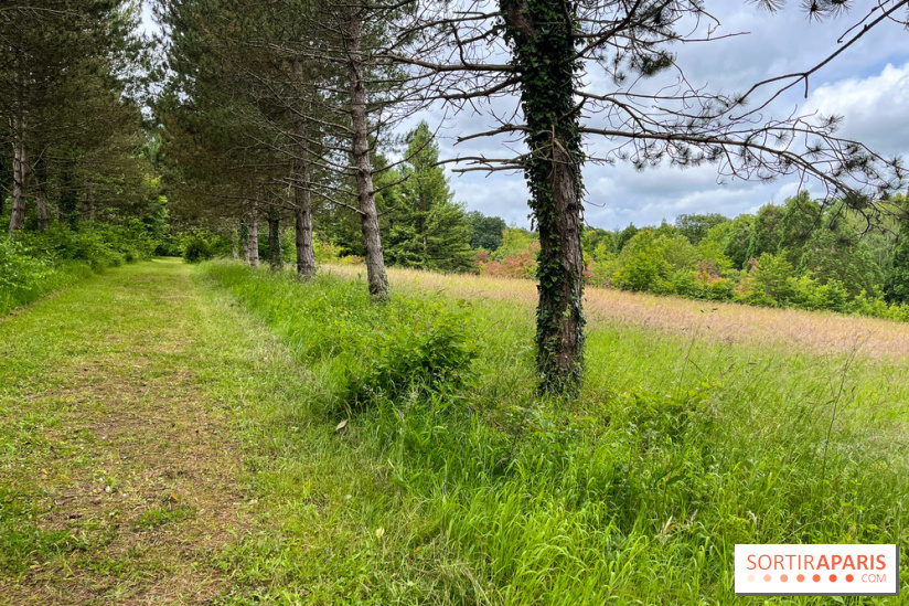 Arboretum de la Roche-Guyon - nos photos - image00008