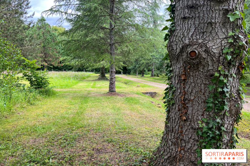 Arboretum de la Roche-Guyon - nos photos - image00009