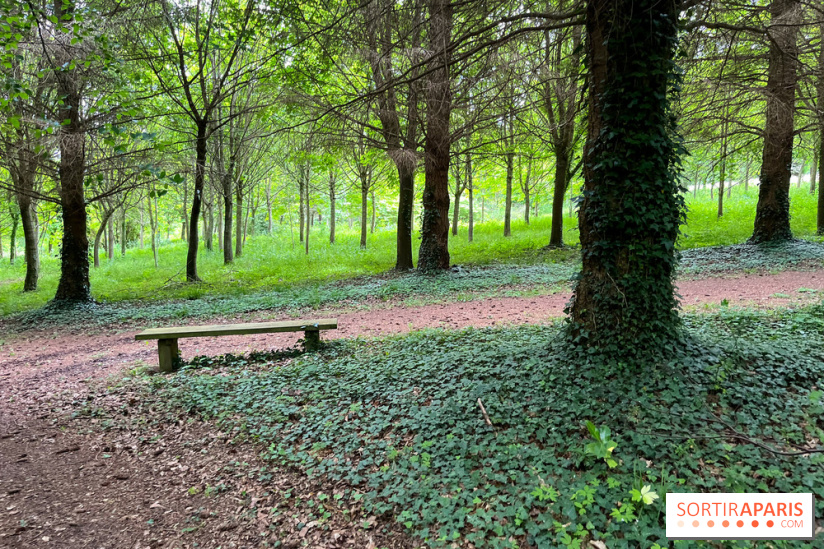 Arboretum de la Roche-Guyon - nos photos
