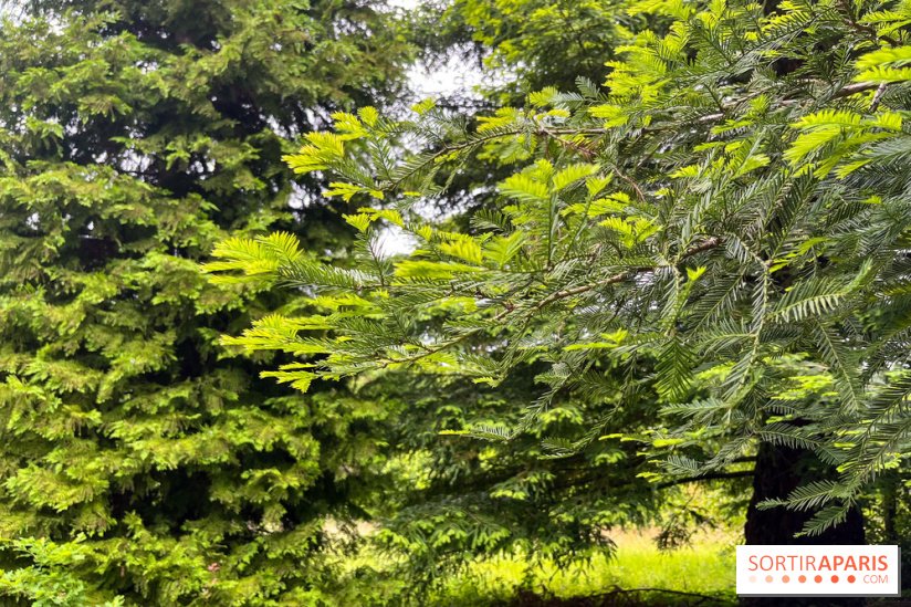 Arboretum de la Roche-Guyon - nos photos