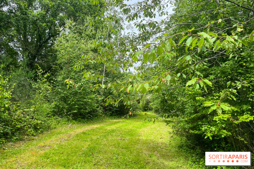 Arboretum de la Roche-Guyon - nos photos