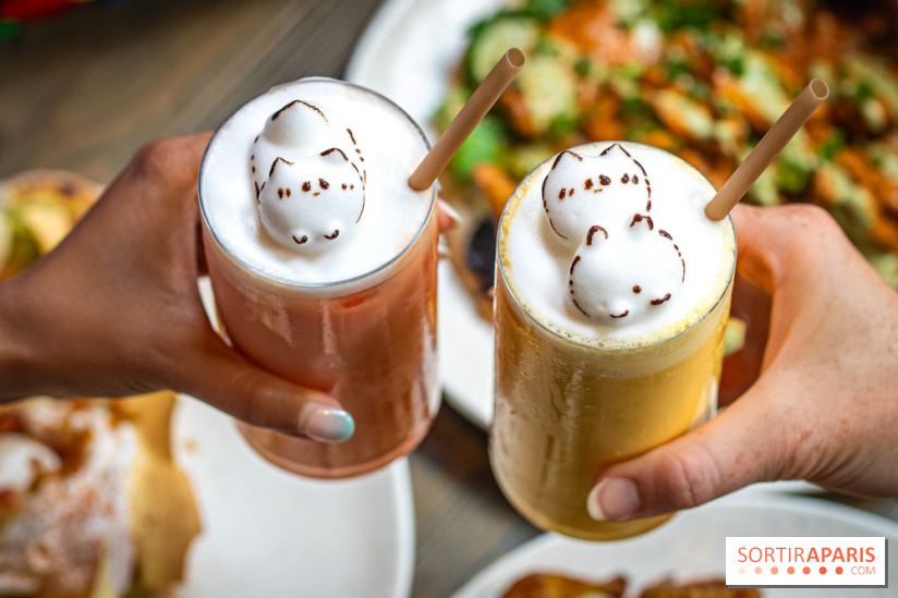 Brunch indien à Paris par Baranaan et Pingwoo -  lassis rose et mangue