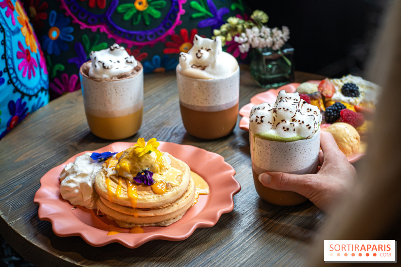 Brunch indien à Paris par Baranaan et Pingwoo -  Indian pancake et latte chat 3D