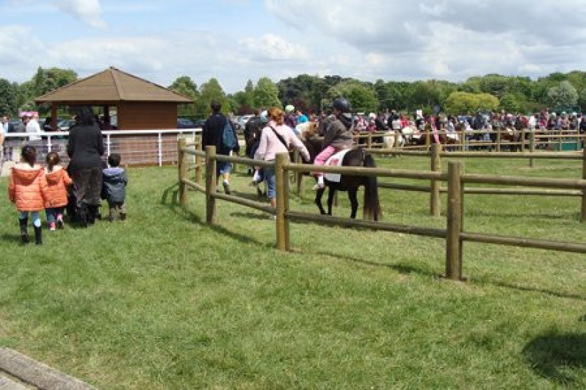 Dimanches au galop
France Galop