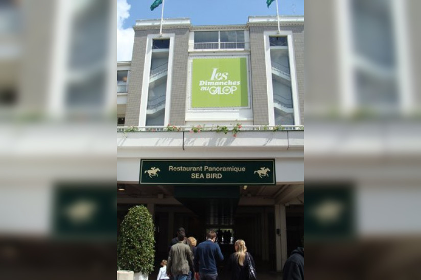 Dimanches au galop
France Galop