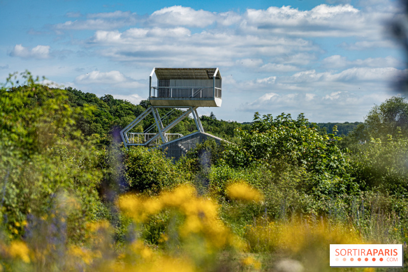 Le Parc du peuple de l'herbe dans les Yvelines - Étang de Galiotte - Carrières-sous-Poissy -  A7C7470