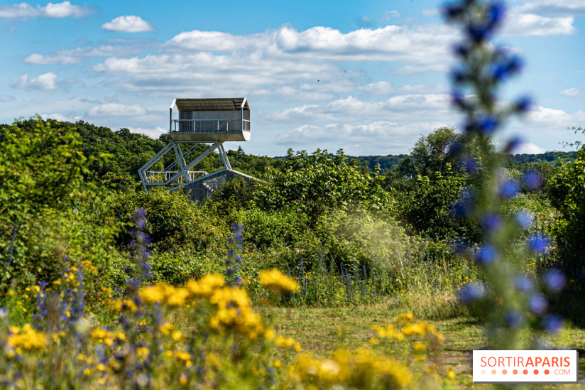 Le Parc du peuple de l'herbe dans les Yvelines - Étang de Galiotte - Carrières-sous-Poissy -  A7C7472
