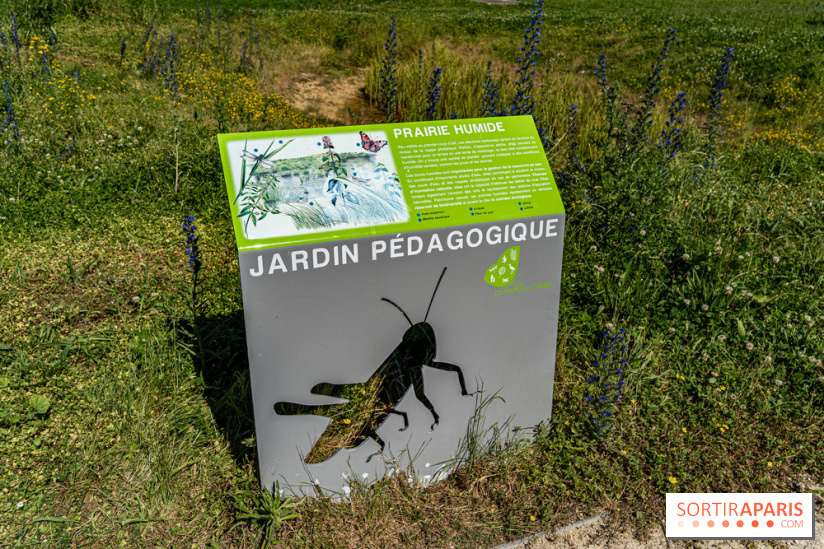 Le Parc du peuple de l'herbe dans les Yvelines - Étang de Galiotte - Carrières-sous-Poissy