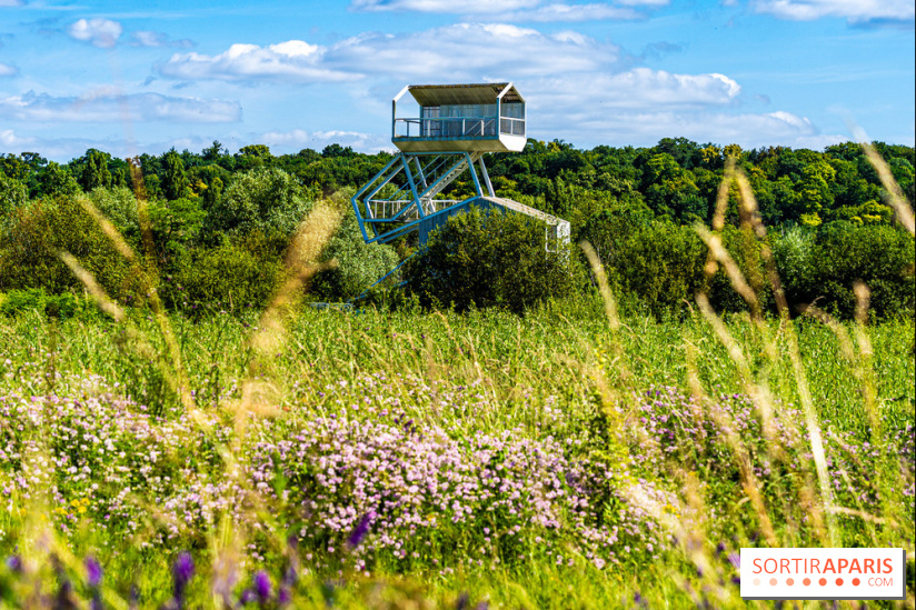 Le Parc du peuple de l'herbe dans les Yvelines - Étang de Galiotte - Carrières-sous-Poissy