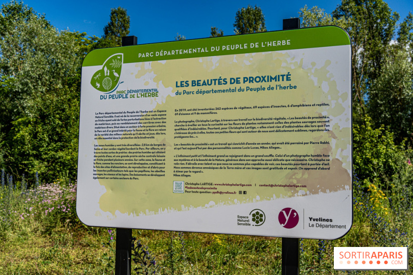 Le Parc du peuple de l'herbe dans les Yvelines - Étang de Galiotte - Carrières-sous-Poissy