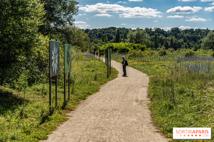 Le Parc du peuple de l'herbe dans les Yvelines - Étang de Galiotte - Carrières-sous-Poissy