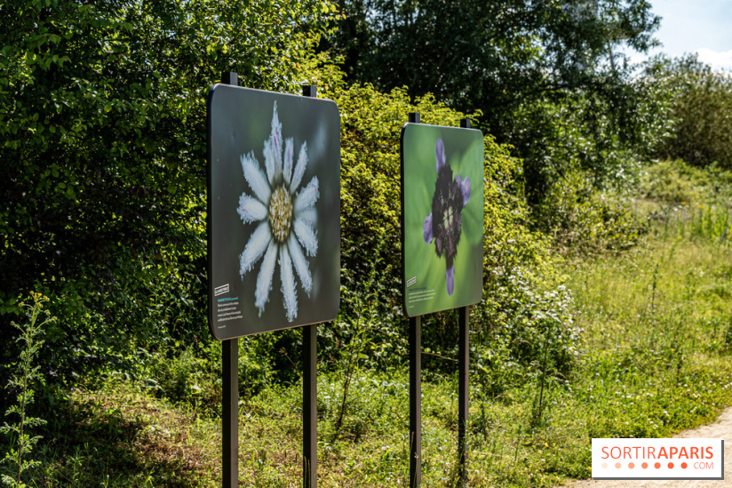 Le Parc du peuple de l'herbe dans les Yvelines - Étang de Galiotte - Carrières-sous-Poissy