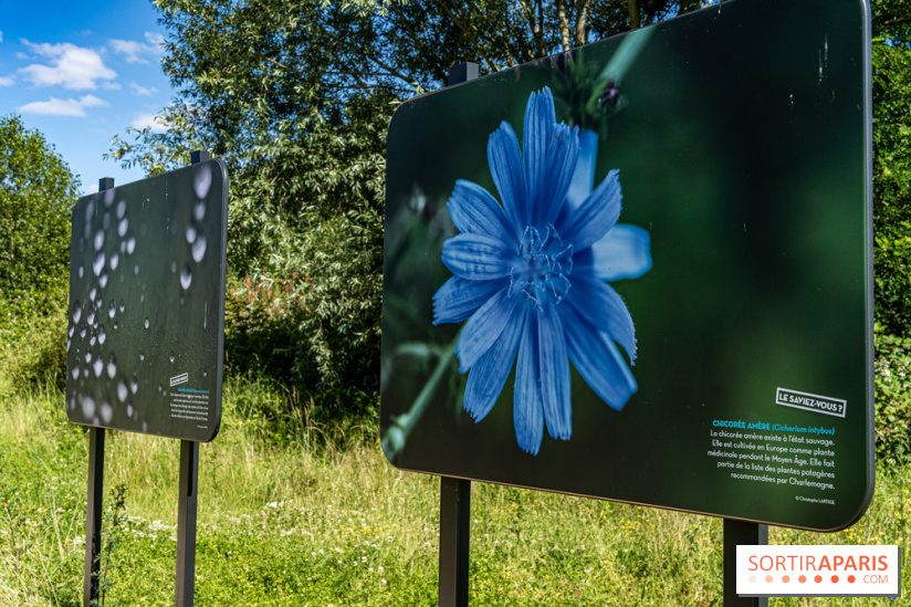Le Parc du peuple de l'herbe dans les Yvelines - Étang de Galiotte - Carrières-sous-Poissy