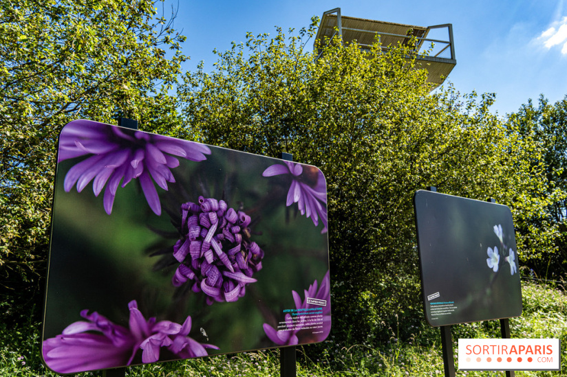 Le Parc du peuple de l'herbe dans les Yvelines - Étang de Galiotte - Carrières-sous-Poissy -  A7C7493