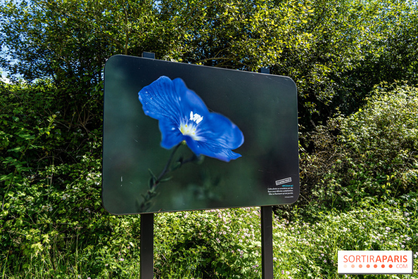Le Parc du peuple de l'herbe dans les Yvelines - Étang de Galiotte - Carrières-sous-Poissy