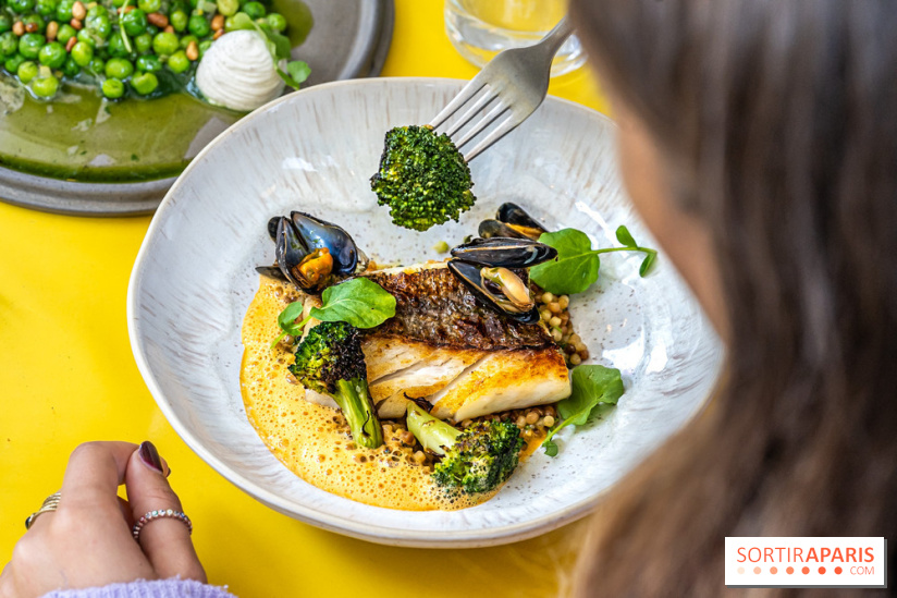 Belle Maison, Bistrot iodé, restaurant de poissons et fruits de mer Paris 9 - merlu crustacés et brocoli