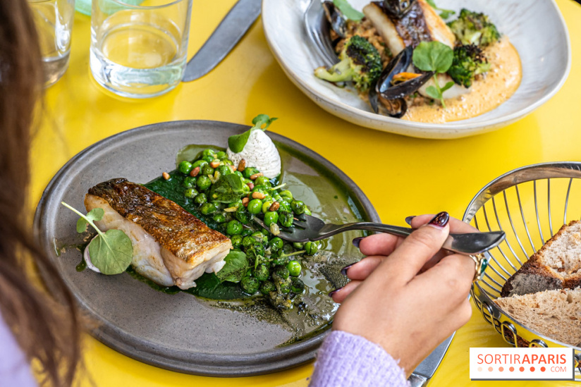 Belle Maison, Bistrot iodé, restaurant de poissons et fruits de mer Paris 9