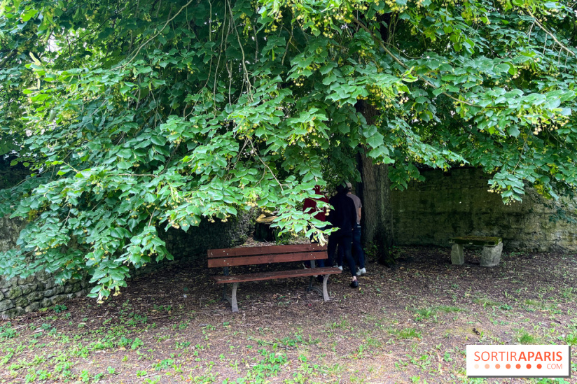 Le Jardin du Yoga à la Roche-Guyon - nos photos
