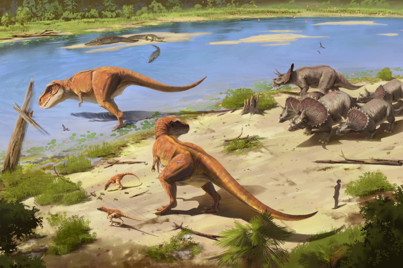 Campagne #33483 - Mondes Disparus Concept Art 5A Crétacé Rivière © Excurio MNHN