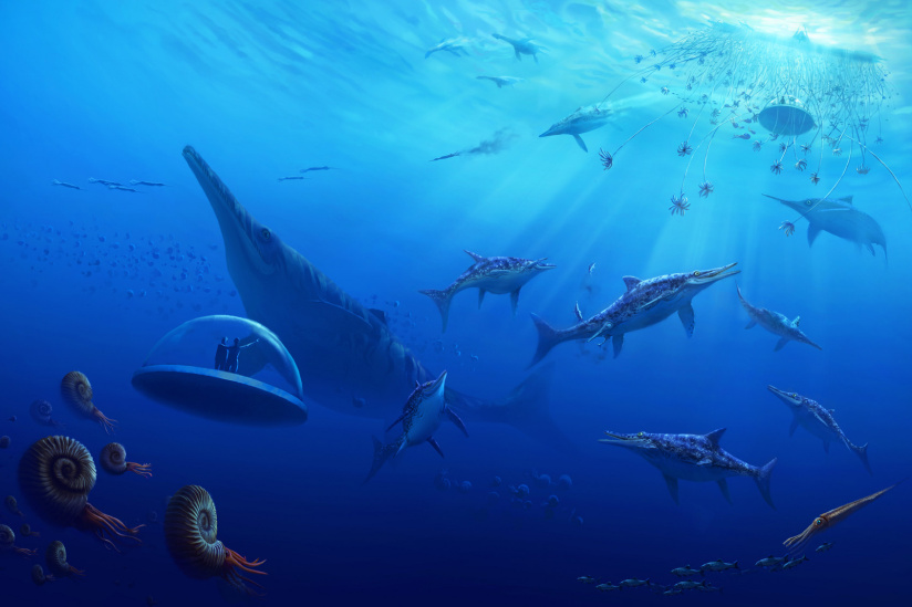 Campagne #33483 - Mondes Disparus Concept Art 4B Jurassique Aquatique © Excurio MNHN