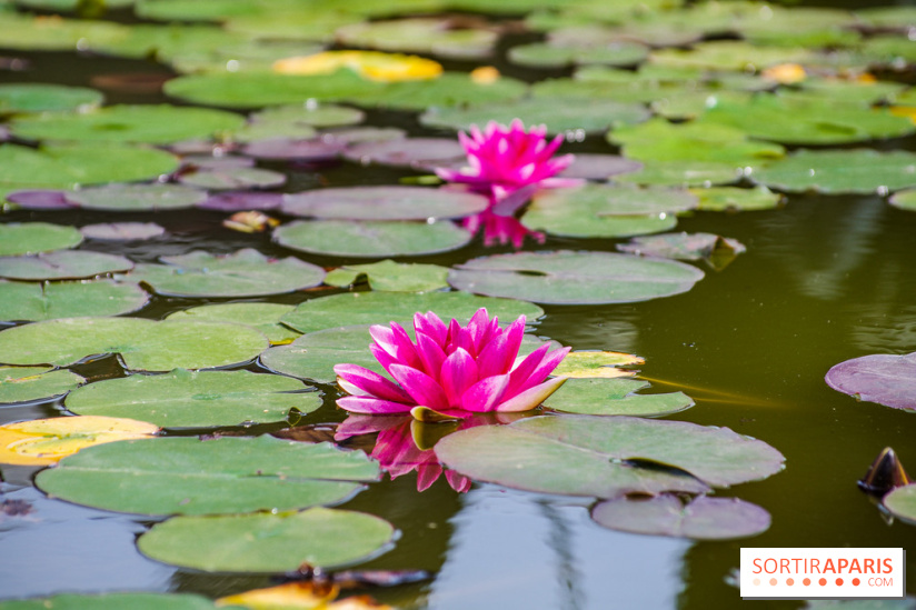 Hellfest 2024 - jeudi 27 juin, nos photos - IMGP3307