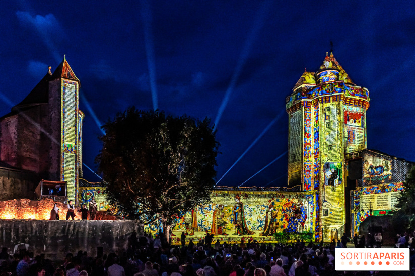 Lumières de Blandy : l'héritage des vicomtes, le spectacle sons et lumières -  acteurs