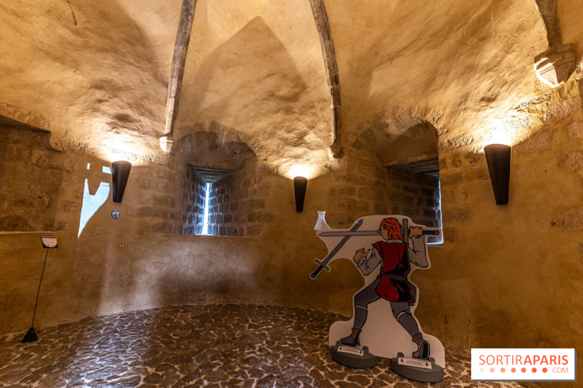 Le Château de Blandy-les-Tours en Seine-et-Marne (77), nos photos -  A7C7954