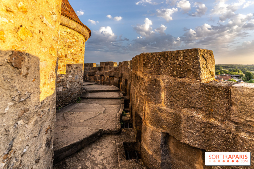 Le Château de Blandy-les-Tours en Seine-et-Marne (77), nos photos