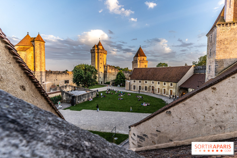 Le Château de Blandy-les-Tours en Seine-et-Marne (77), nos photos -  A7C7980