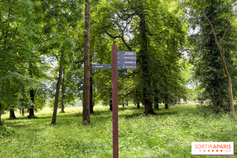 Domaine de Chamarande - nos photos - image00033