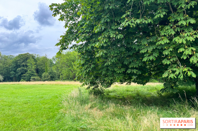 Domaine de Chamarande - nos photos - image00027