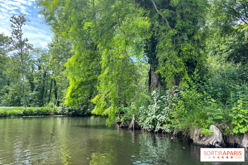 Domaine de Chamarande - nos photos - image00005