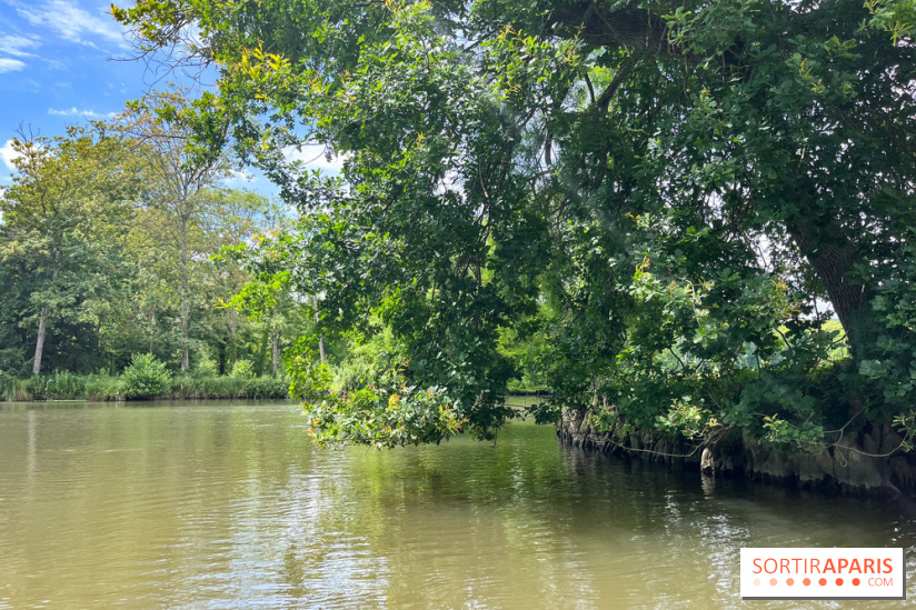 Domaine de Chamarande - nos photos - image00001