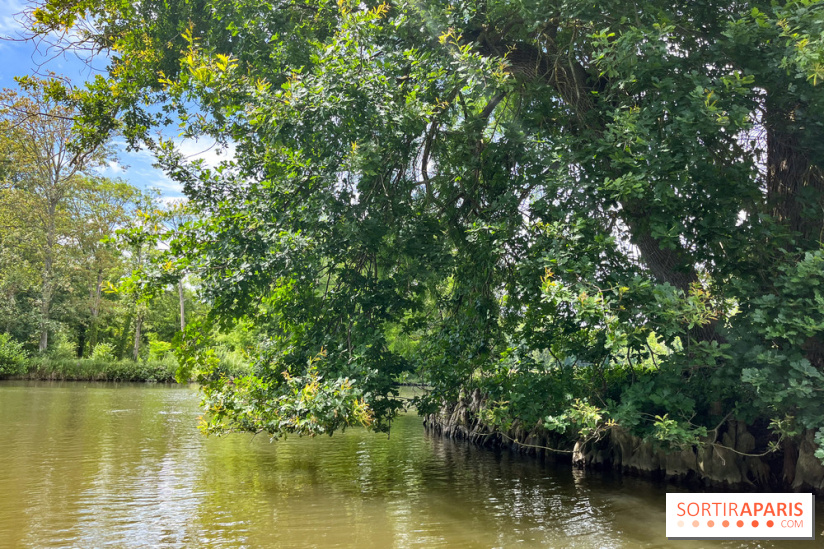 Domaine de Chamarande - nos photos - image00007