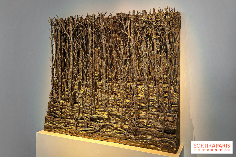 Eva Jospin à la Galleria Continua - image00015