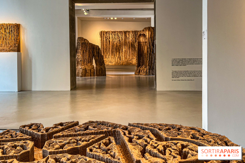 Eva Jospin à la Galleria Continua - image00044