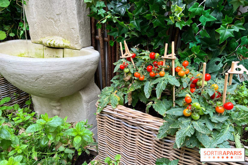 Le Potager, Roch Hotel & Spa - Potager