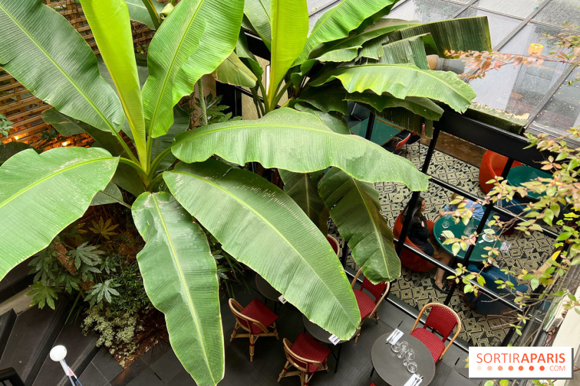 Le Potager, Roch Hotel & Spa - Terrasse patio verdoyant