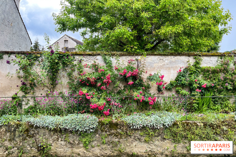 Crécy-la-Chappelle - nos photos - image00056