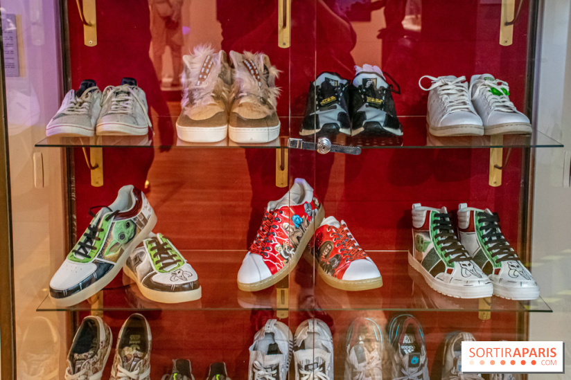 Star Wars : Fans of the Galaxy, l'expo à découvrir dans une galaxie lointaine, très lointaine - DSC 0863