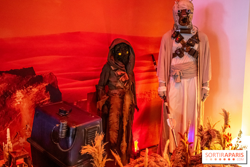Star Wars : Fans of the Galaxy, l'expo à découvrir dans une galaxie lointaine, très lointaine - DSC 0899
