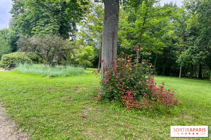 Les îles du lac inférieur, au bois de Boulogne - nos photos - image00035